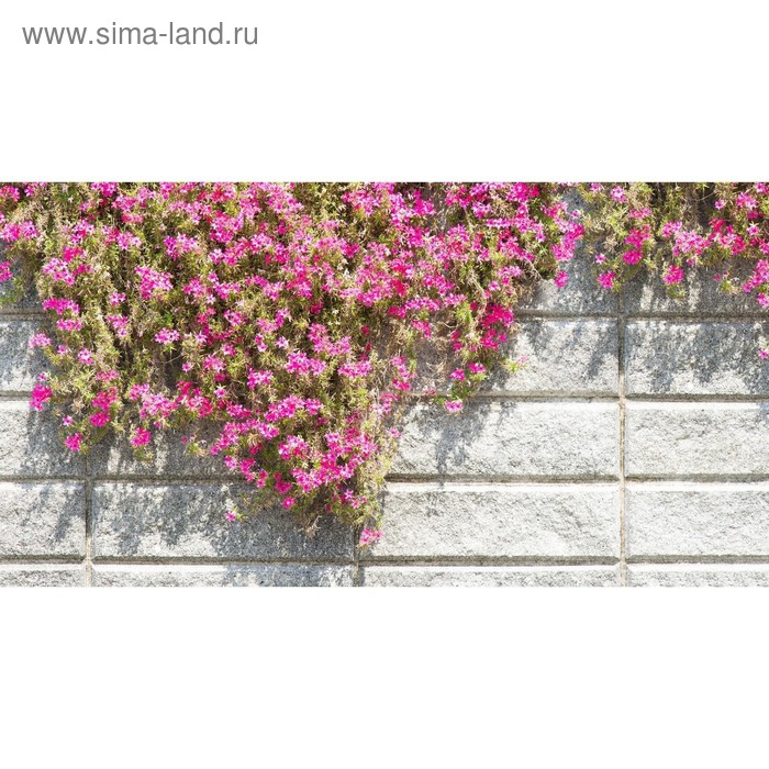 Фотобаннер, 300 × 200 см, с фотопечатью, люверсы шаг 1 м, «Стена с цветами»