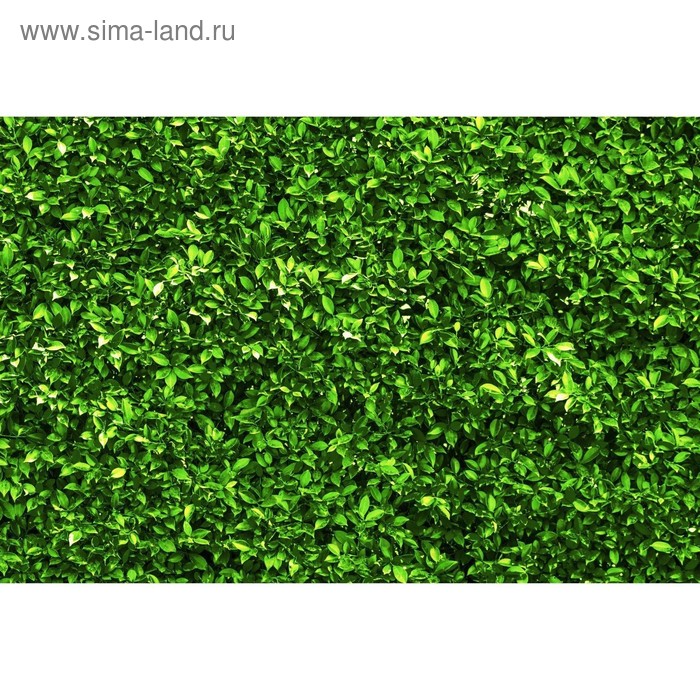 Фотобаннер, 300 × 200 см, с фотопечатью, люверсы шаг 1 м, «Зелёная изгородь» фотобаннер 300 × 200 см с фотопечатью люверсы шаг 1 м зелёная стена текстура