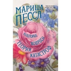 

Некоторые вопросы теории катастроф. Пессл М.