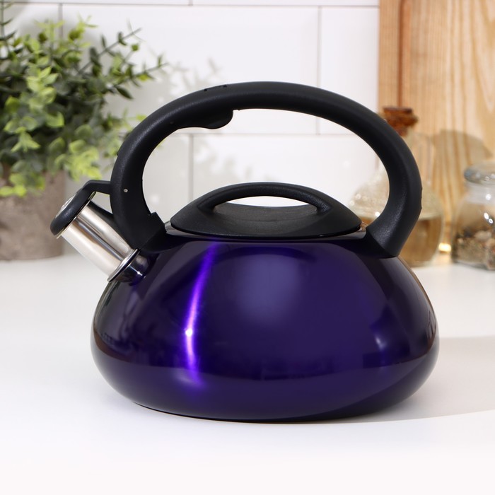 Чайник со свистком «Таун», 3 л, цвет синий