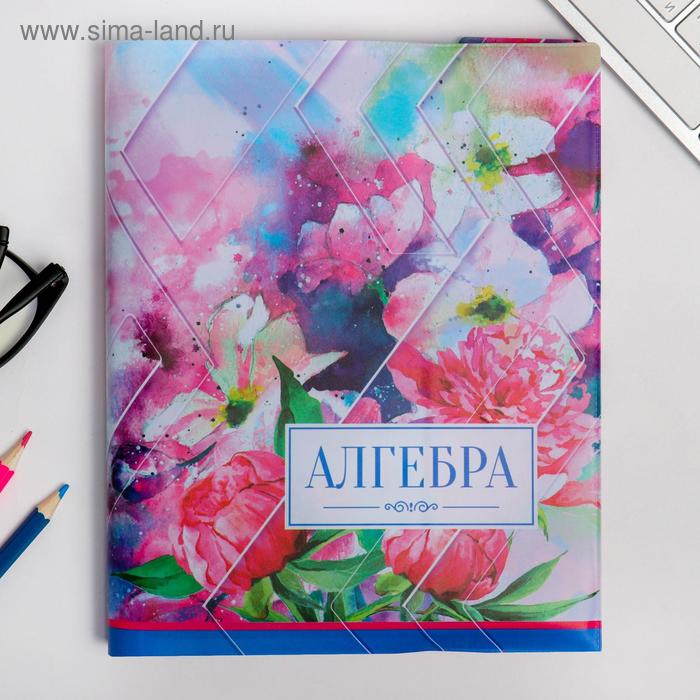 

Обложка для книги, учебника «Алгебра», 43,5 х 23,2 см