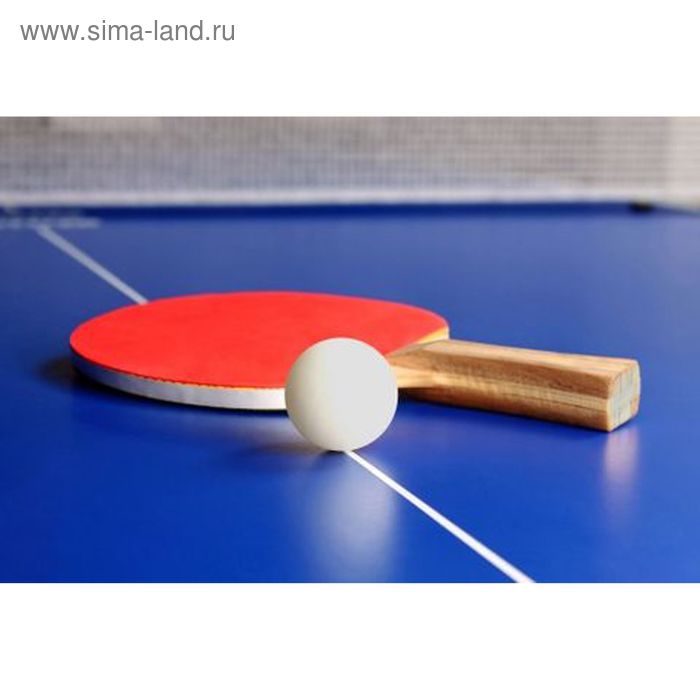 фото Набор мячей для настольного тенниса onlytop, d=40 мм, 12 шт., цвет белый