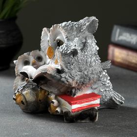 

Фигура "Сова с совятами и книгой", 17 × 14.5 см