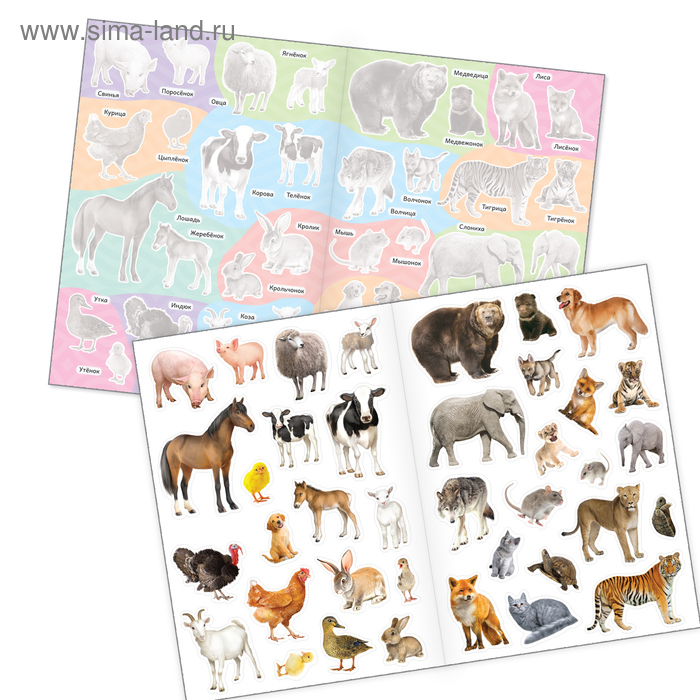 фото Наклейки многоразовые набор «познавательные» №2, 3 шт., формат а4 буква-ленд