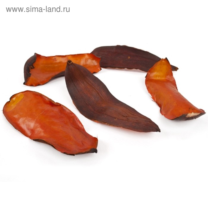 Листья тиборна, 10-20 см, 5 шт., оранжевый