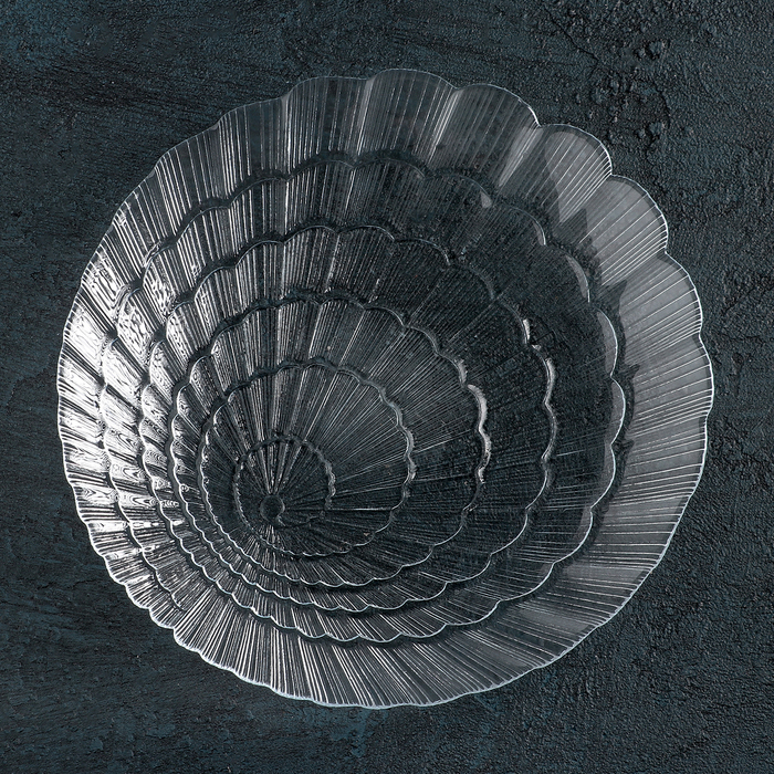 Тарелка обеденная 24 см Atlantis