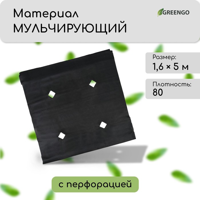 Материал мульчирующий, с перфорацией, 5 × 1,6 м, плотность 80, с УФ-стабилизатором, чёрный, Greengo, Эконом 20%