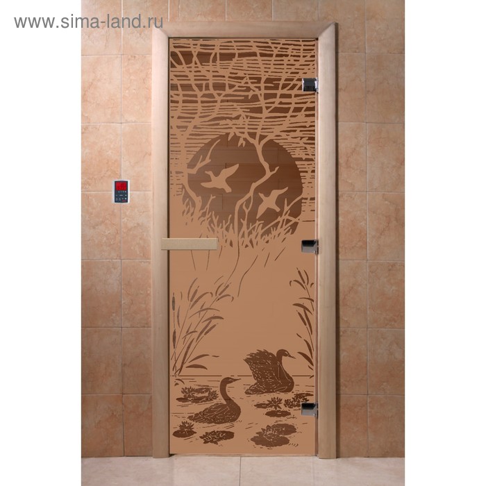 Дверь «Лебединое озеро», размер коробки 200 × 80 см, левая, цвет матовая бронза