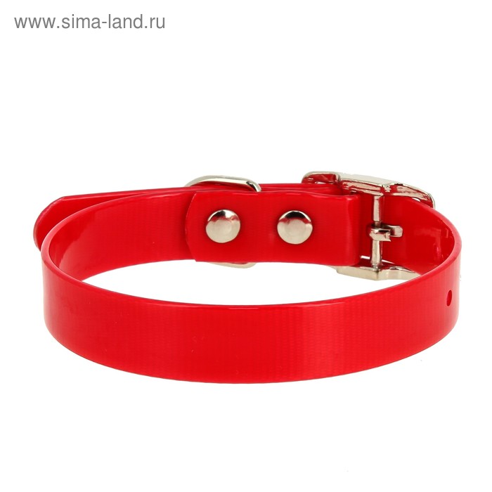 

Ошейник из биотана, ОШ 26-35 х 1,5 см, красный
