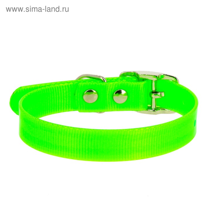 

Ошейник из биотана, ОШ 39-51,5 х 2,5 см, зелёный