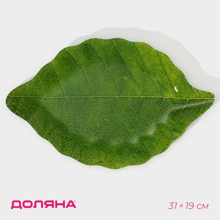 Блюдо стеклянное сервировочное Доляна «Лист», 31×19 см, цвет зелёный блюдо сервировочное доляна лист