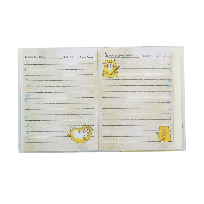 Блокнот "Запиши мыслю", 96 листов, А6, с блестками