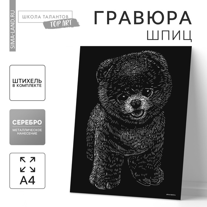 

Гравюра на подложке «Шпиц» с металлическим эффектом «серебро» А4
