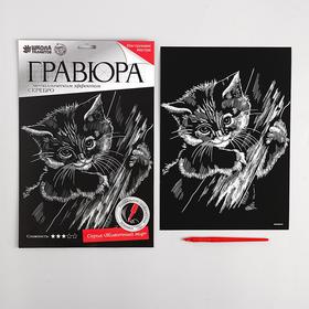 

Гравюра на подложке «Котёнок» с металлическим эффектом «серебро» А4