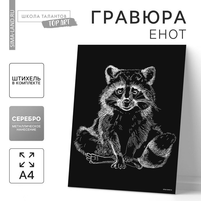 

Гравюра на подложке «Енот» с металлическим эффектом «серебро» А4