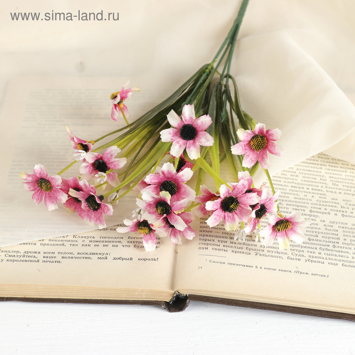 

Букет "Космея с маленькими цветками" 30 см, микс