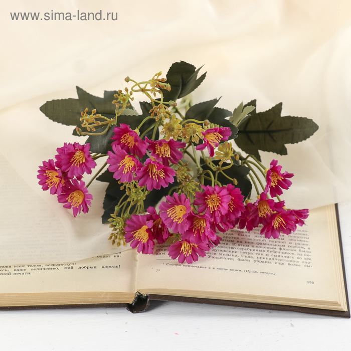 

Букет "Топинамбур" 27 см, микс
