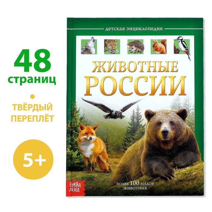 Детская энциклопедия в твёрдом переплёте «Животные России», 48 стр. энциклопедия в твёрдом переплёте подводный мир 48 стр