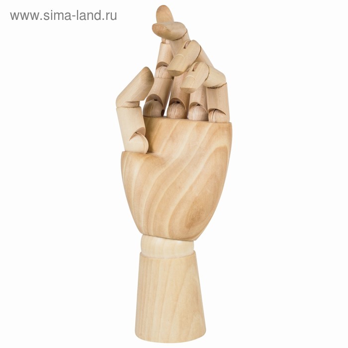 Деревянная фигура «Анатомические детали: Рука левая женская», высота 25 см, BRAUBERG