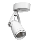 Белый Белый