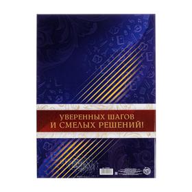 

Папка «Выпускник», с двумя файлами, 22 х 31 см