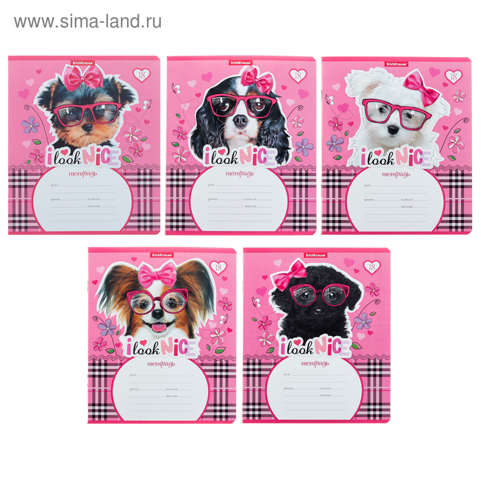 

Тетрадь 18 листов в линейку Clever Dog, обложка мелованный картон, блок офсет, МИКС (1 вид в спайке)