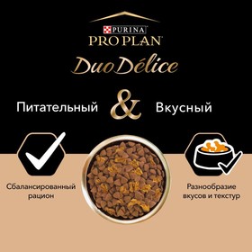 

Сухой корм PRO PLAN DUO DELICE для собак крупных пород, говядина/рис, 10 кг