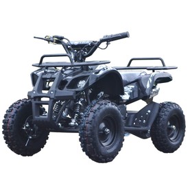 

Квадроцикл детский бензиновый MOTAX ATV Mini Grizlik Х-16 Big Wheel (большие колеса), электростартер, пульт родительского контроля, чёрный