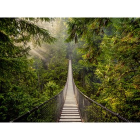 

Фотообои Мост в лесу 3.6*2,7 (из 4 листов)