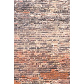 

Фотообои Старый кирпич 1,8*2,7 (из 2 листов)