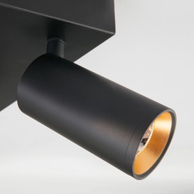 

Светильник Fleur 20Вт LED черный, золото