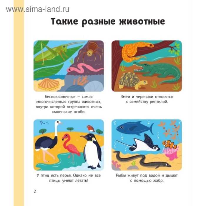 

Энциклопедия животных для малышей
