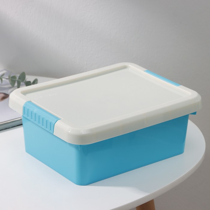 Контейнер для хранения с крышкой Kid's Box, 3 л, 25×20×10 см, цвет МИКС