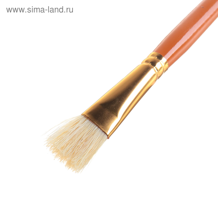 

Кисть щетина, плоская №14, "Гамма"