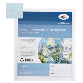 Холст на картоне 30 х 35 см, хлопок 100%, акриловый грунт, мелкозернистый, «Студия»