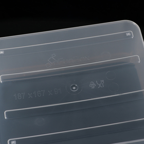 

Контейнер для хранения Basic, 2 л, 18,5×16×9 см, цвет прозрачный