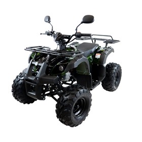 

Квадроцикл бензиновый MOTAX ATV Grizlik-8 1+1 125 cc, зеленый камуфляж