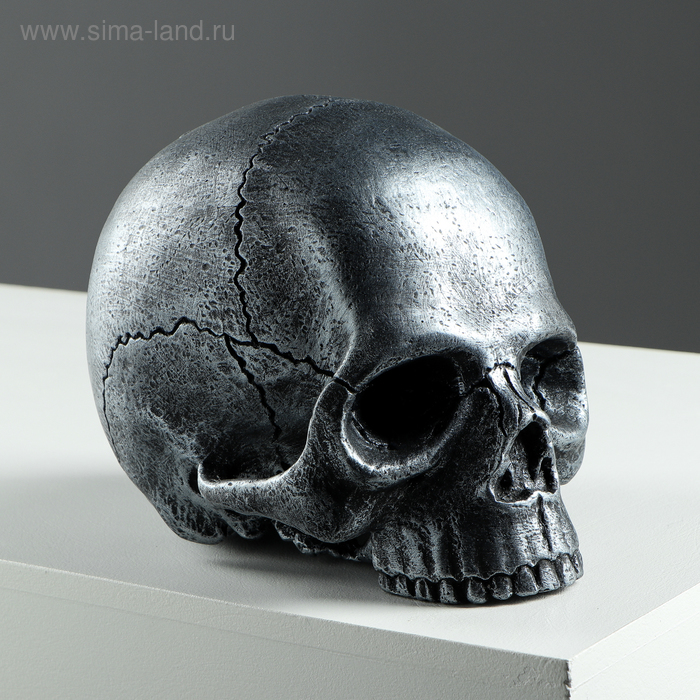 

Копилка "Череп", глянец, серебристый цвет, 16 см