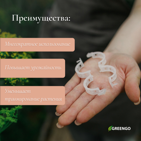 Клипса садовая, d = 25 мм, набор 50 шт, Greengo от Сима-ленд