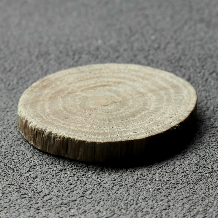 Спил дерева Дубовый, круглый, d3-4 см, h5 мм