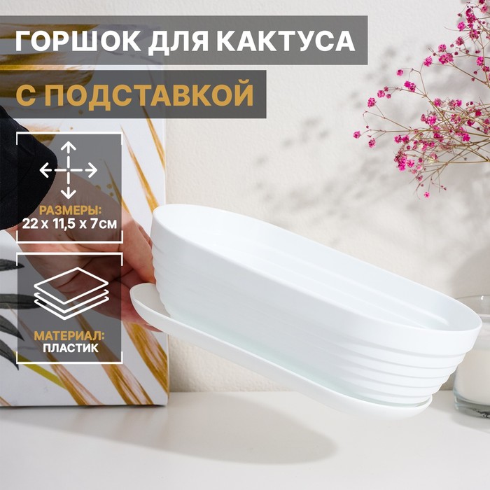 

Горшок для кактуса с подставкой «Алиса», 0,9 л, цвет белый