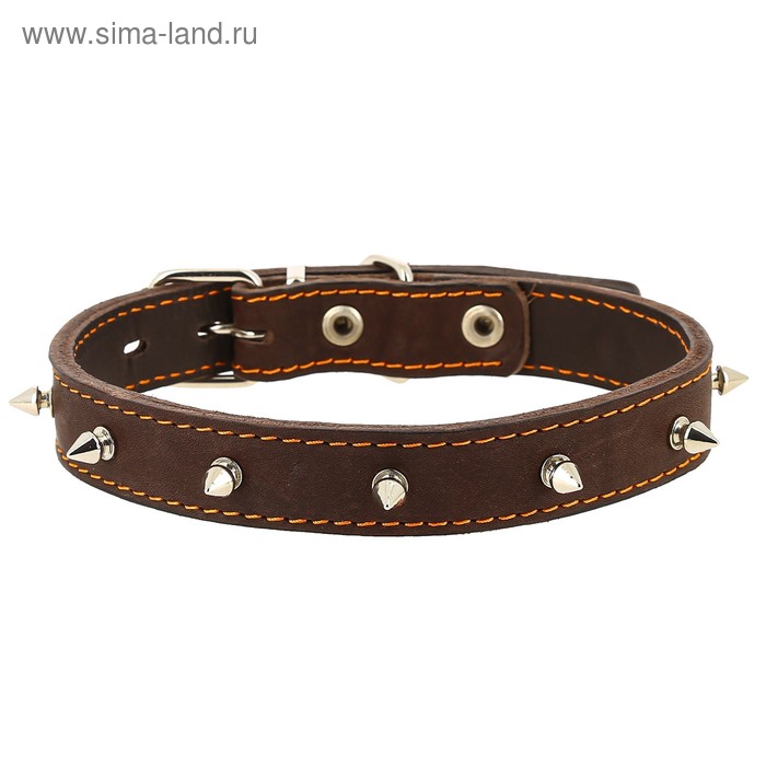 

Ошейник кожаный двухслойный с шипами, ОШ 50-59 х 3,5 см, микс цветов