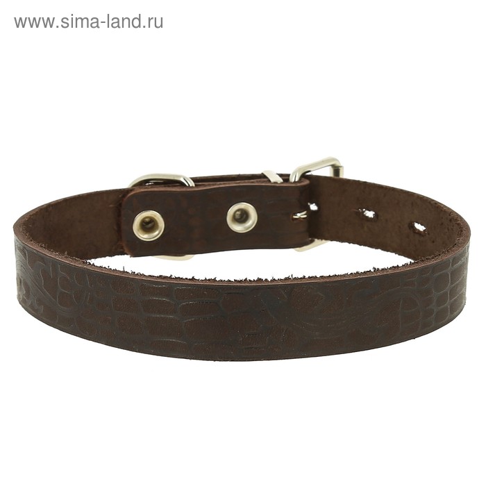 

Ошейник кожаный с накаткой, ОШ 50-59 х 3,5 см, микс цветов