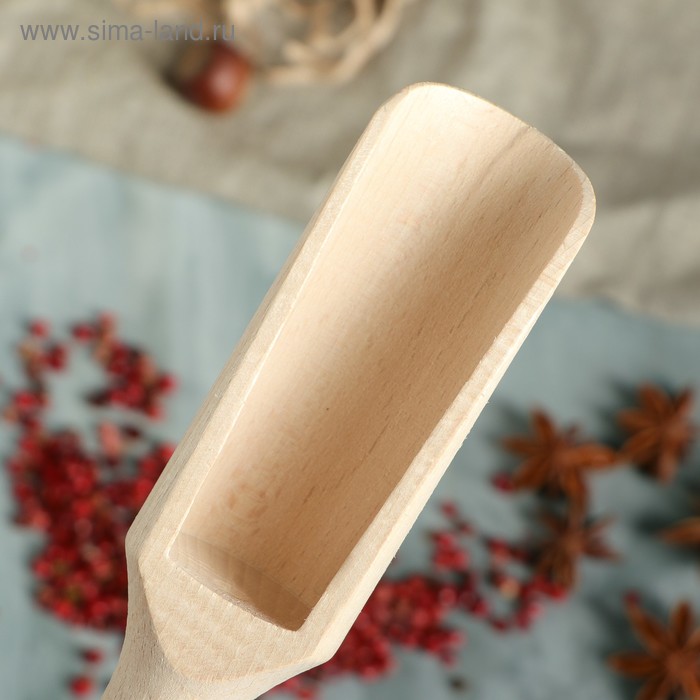 

Совочек для специй "Классический", 14,5 х 4 см, массив бука