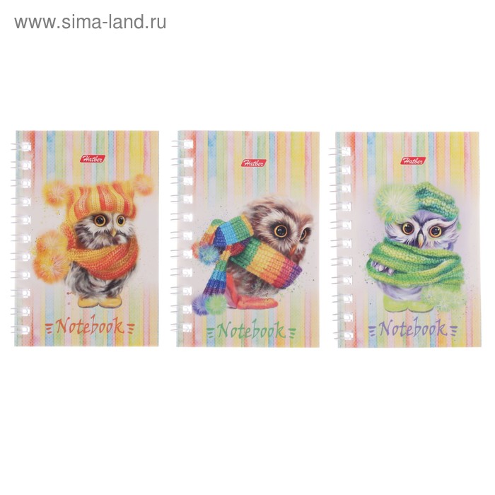 

Записная книжка А7, 40 листов, на гребне, "Совушки", картонная обложка, МИКС