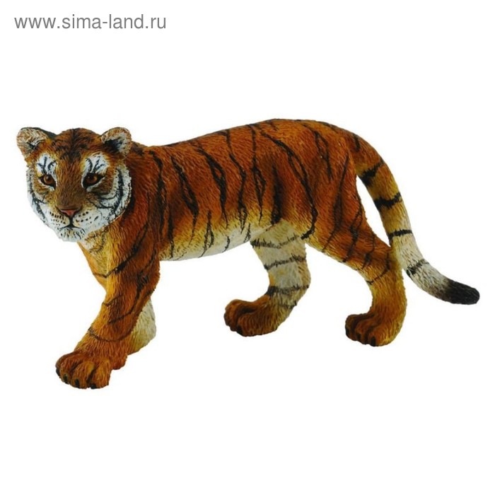 игровые фигурки collecta фигурка детеныш сибирского тигра m 7 5 см Фигурка «Детёныш сибирского тигра», 7,5 см
