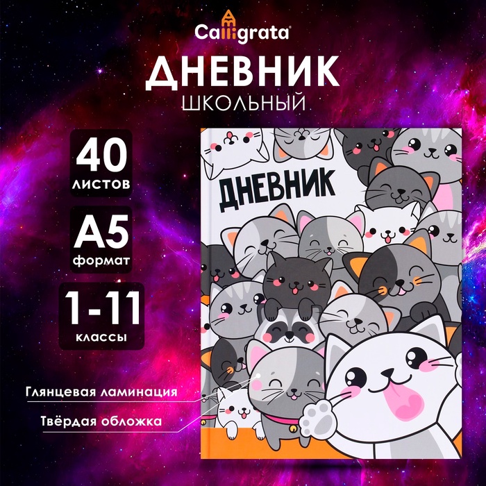 Дневник универсальный для 1-11 классов, 