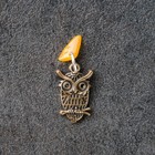 Брелок-талисман "Сова", натуральный янтарь
