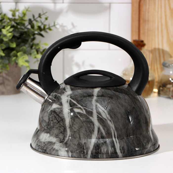 чайник со свистком доляна таун Чайник со свистком из нержавеющей стали Доляна «Эшфорд», 2,8 л