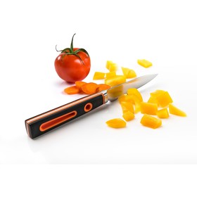 

Нож для чистки TalleR TR-2069, 9 см